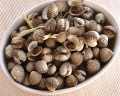 Kerang Rebus